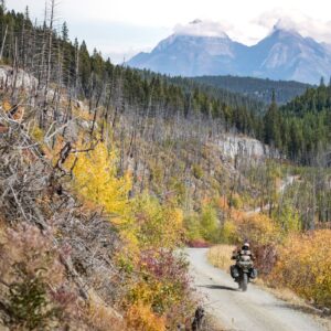 Giant Loop Round the World Panniers Black - Image 7