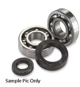 CRANK BEARINGS & SEALS KIT HOT RODS CRF450X 05-17