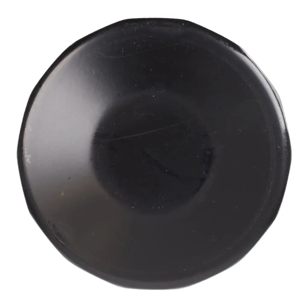 WMP Oil Filter (HF129)