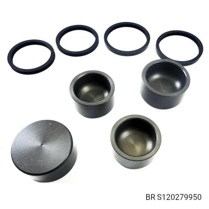 PISTON & SEAL KIT 2 PCS 30x16 / 2 PCS 34x16 -ALT BR S120279911