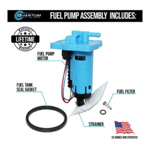 Quantum In-Tank EFI OEM Replacement Fuel Pump with Assembly - Image 3