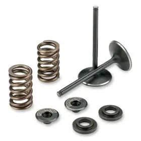 Moose Intake Valve Kit