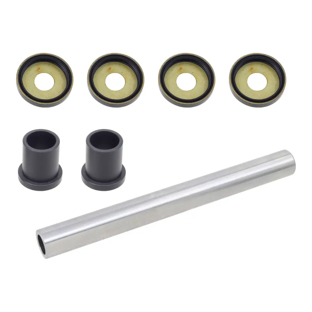 WMP Swingarm Bearing Kit