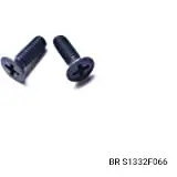 RESERVOIR SCREWS - 2 ONLY FOR MASTER CYLINDER 110D08715