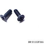 RESERVOIR SCREWS - 2 ONLY FOR MASTER CYLINDER 110D08715 - Image 1