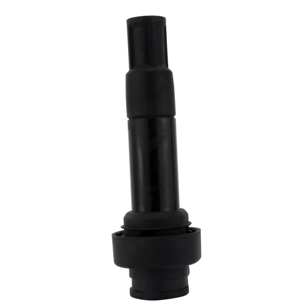 IGN STICK COIL BMW K 1600 BAGGER 17-21'