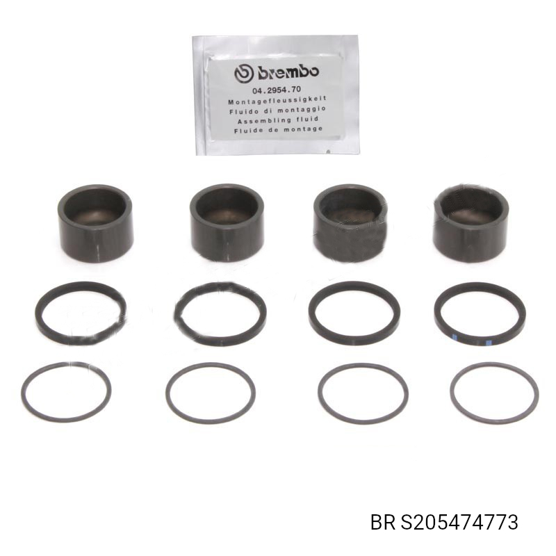 PISTON AND SEAL KIT DUCATI 1198 DIA 34mm x 20mm PISTON - Image 1
