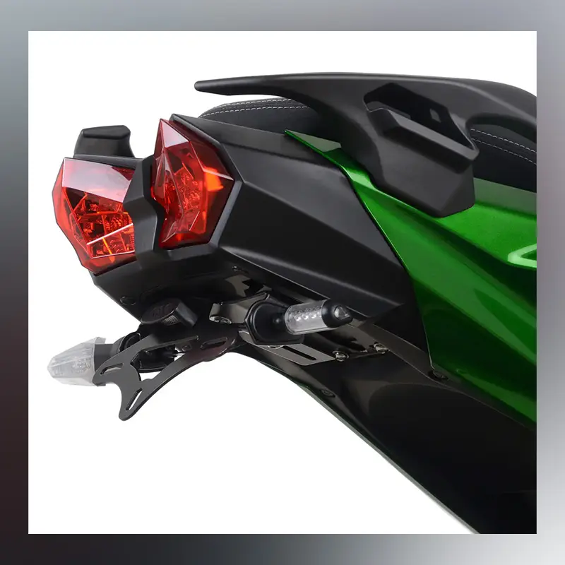 Tail Tidy Ninja H2SX 18- R&G