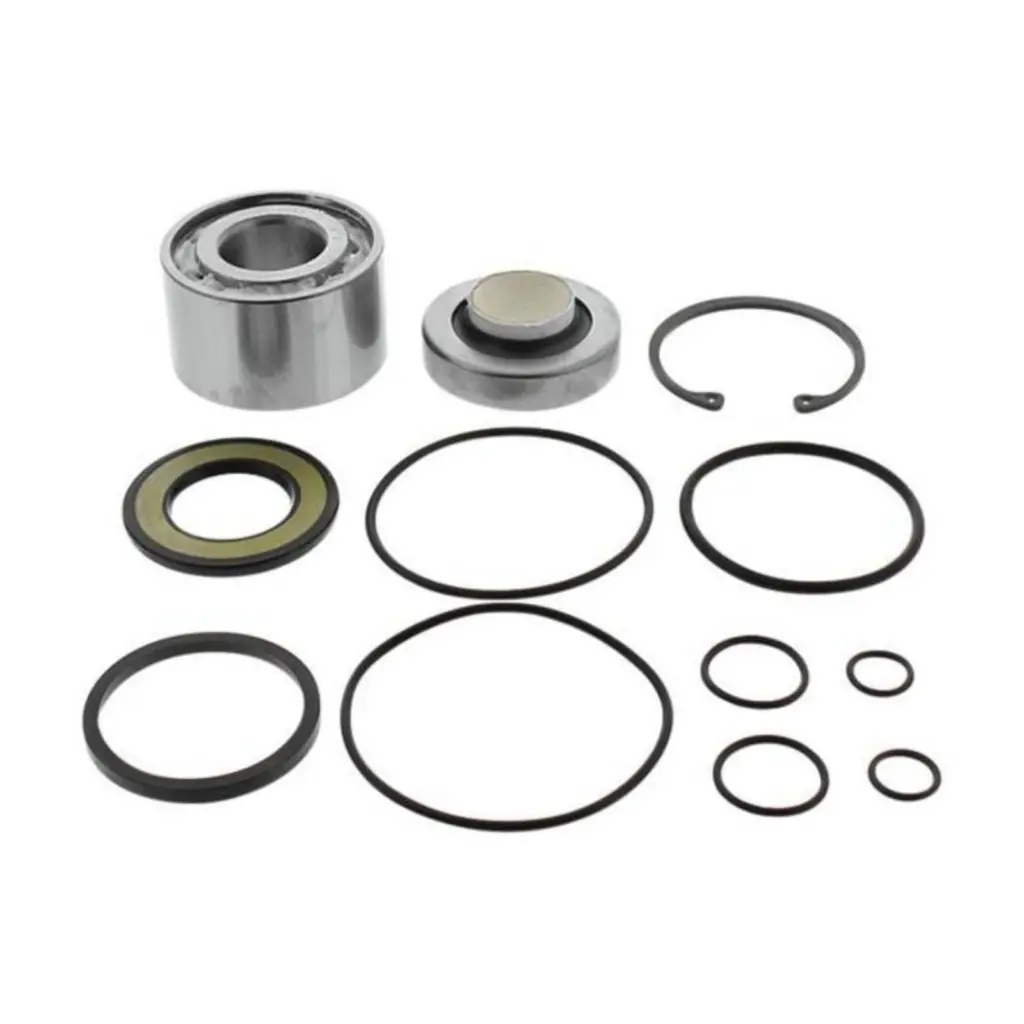 JET PUMP REBUILD KT 14-3020
