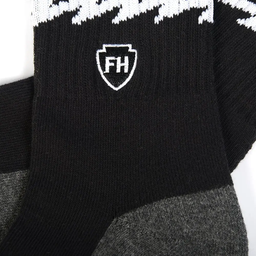 Fasthouse Voltage Socks Black - One Size