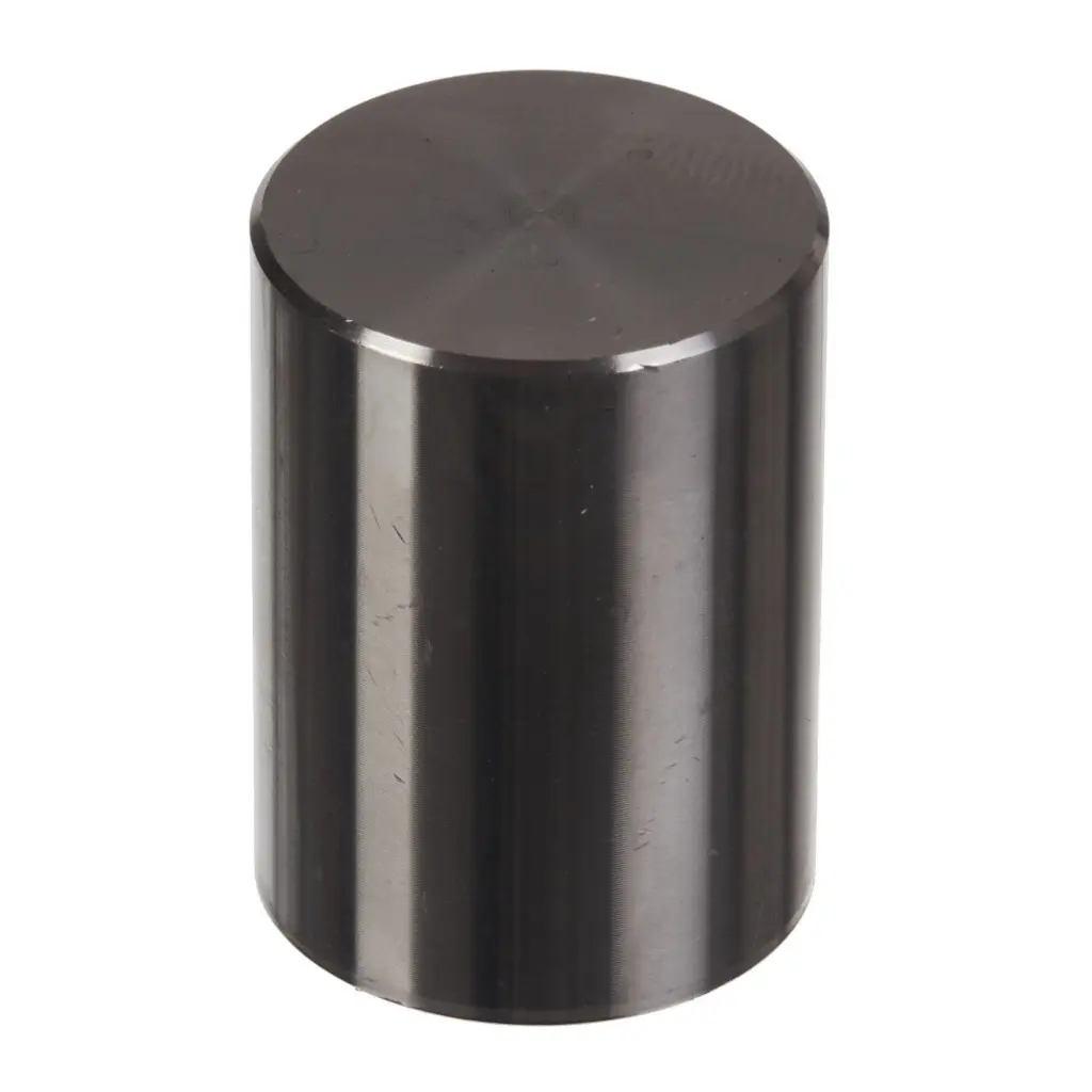 CALIPER PISTON KIT REAR 18-9016
