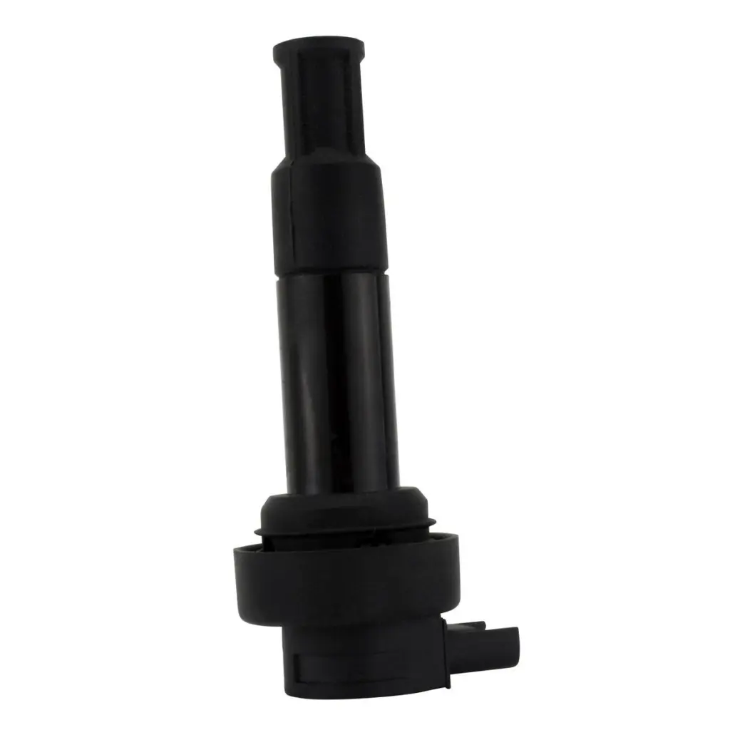IGN STICK COIL BMW K 1600 BAGGER 17-21'