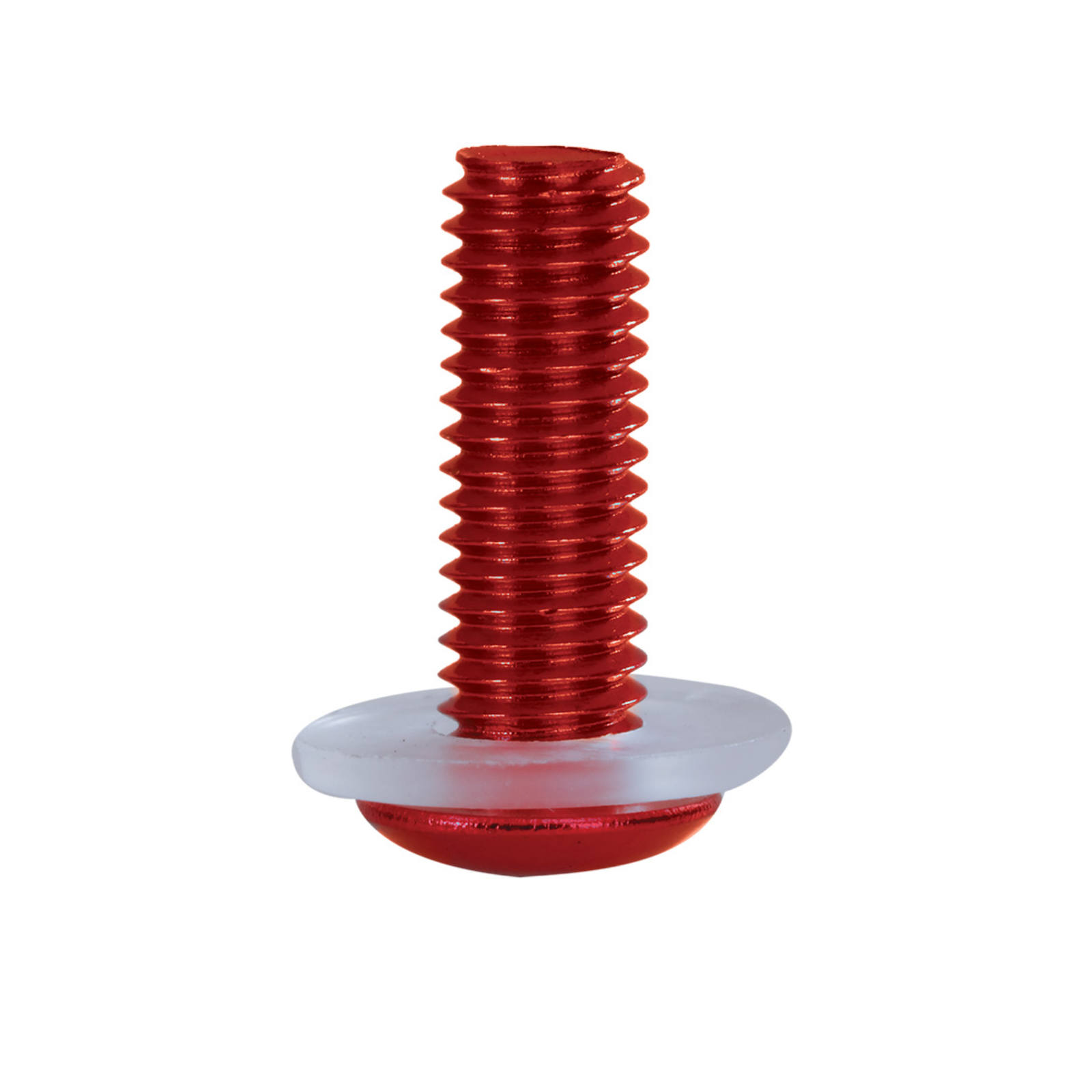 OXFORD SCREEN SCREWS RED - Image 1