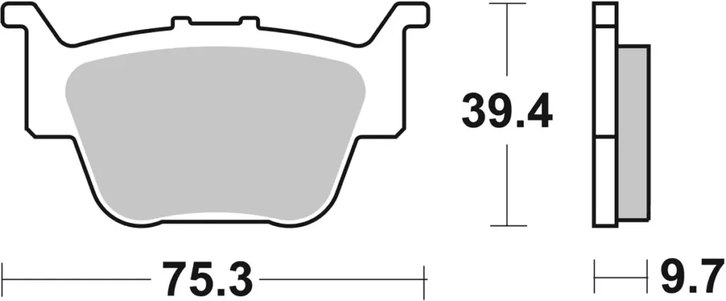 SBS 813RSI Front/Rear Brake Pads